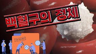 [술술과학] 건강과학(5) | 우리 몸의 면역계 대강 정리! (백혈구의 정체)