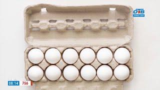 Сколько и как хранить куриные яйца в рубрике «Срок годности»