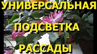 Универсальная подсветка рассады.