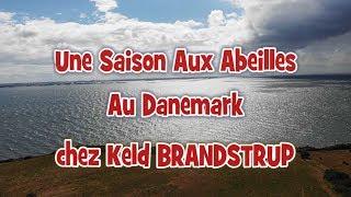 Une Saison Aux Abeilles au Danemark - Visite chez Keld Brandstrup - Part 1