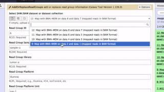 NGS101 7  A quick into to read mapping720p