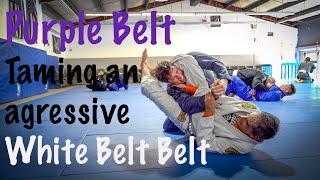 51 year old purple belt vs aggressive young white belt