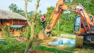 Use an Excavator to Move a Large Jackfruit Tree to Plant Near The Wooden House. My Farm / Đào