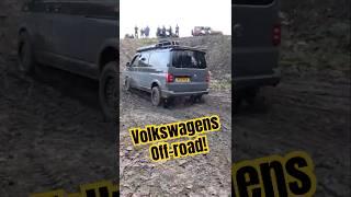 VOLKSWAGENS OFFROAD! #4x4 #Overland #Muddy