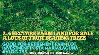 #vlog255 FARM LOT FOR SALE IN PHILIPPINES 2.6 HECTARES WITH FRUIT BEARING TREE'S - RETIREMENT FARM