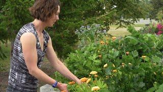 Gardening in Raised Beds — In the Alaska Garden with Heidi Rader