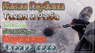 2025 ПОКЛЁВОК ЯНВАРЬ БЛЕСНА БОЛЬШЕ ОКУНЯ И ЭТО ЗА РАДОСТЬ КЛЕВ БЫЛ НА БЛЕСНУ  МАРАПЕДКУ И БАЛАНСИР