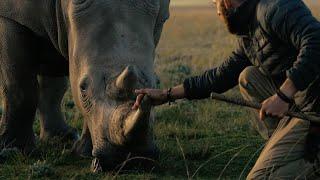 KOUGA RHINO SANCTUARY