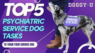 Top 5 Psychiatric Service Dog Tasks!
