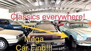 This small town holds a massive surprise! Mega classic car collection!