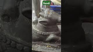 Nandi | Vehicle of Lord Shiva