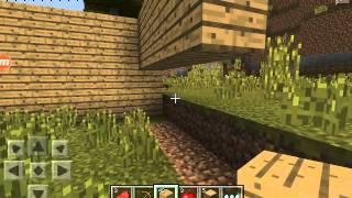 Minecraft Pe Sezon Finali