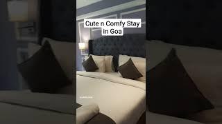 Stay in Goa #shorts #ytshorts #trending #viral #goa #staycation #luxurystays #airbnb #shortsfeed