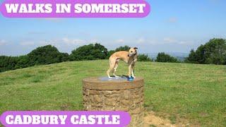 WALKS IN SOMERSET at CADBURY CASTLE, SOUTH CADBURY & CORTON DENHAM. (4K)