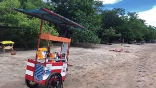 Tamarindo Guanacaste walk from La Palapa restaurant on the beach to Pochote tree near by