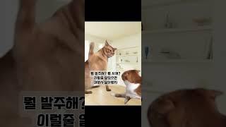 병원홍보마케팅, 골든타임 놓치고 후회마세요