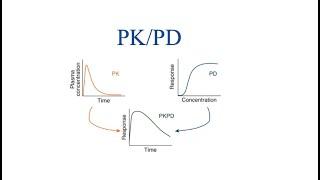 Overview of PK-PD relationship / Drug Dynamic