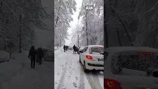 IRAN  / #nature #iran #viral #snow #winter #ایران #jeep #mazandaran #offroad #shorts #trending