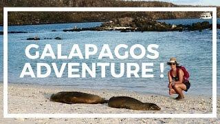 Adventure in the Galapagos!  Cruising with Ecoventura's MV Origin