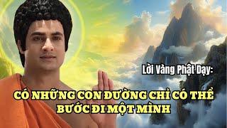 Lời Vàng Phật Dạy: Có Những Con Đường Chỉ Có Thể Một Mình Bước Đi