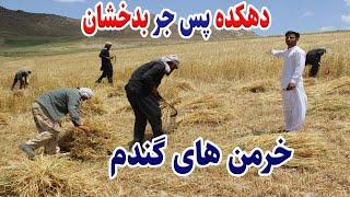 گزارش تمیم، دهکده پس جر، خرمن های گندم، بلندی کوهای بدخشان، Badakhshan Afghanistan