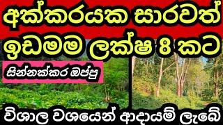 සින්නක්කර අක්කරයම ලක්ෂ 8 කට | Land for sale | Tea idam | Agriculture land | Aduwata idam | Idam sale