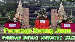 Pameran Bonsai wonogiri 2022 Bonsai juara ponorogo