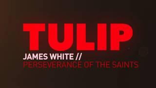 TULIP Part 5: Perseverance of the Saints with James White