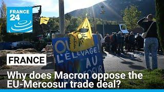 Why does France oppose the EU-Mercosur trade deal? • FRANCE 24 English