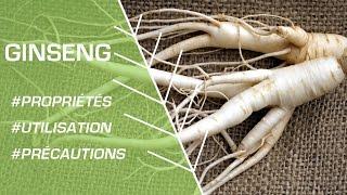 Comment utiliser le ginseng ? - Phytothérapie