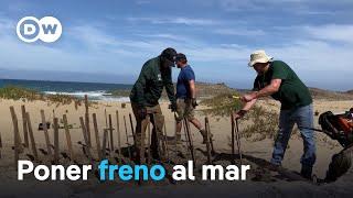 Fortalecer las barreras naturales en las playas de Puerto Rico