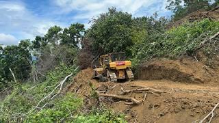 The Reliability of the D6R XL Bulldozer in the Formation of Palm Terraces in Sloped Areas