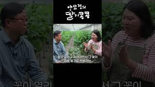 자연과 이야기로 자라는 우리 아이의 감각 교향곡, "양묘정의 딸기콩콩"