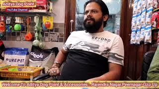 fancy dog, cat & pigeon accessories an foods...Aditya dog point & accessories- peernagar gzp- up...