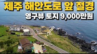 제주도 해안도로앞에 영구뷰의 토지가 나왔습니다. 9,000만원 소액의 토지인데.. 바다 뷰 하나만으로 이토지의 가치를 봐야 할까요?