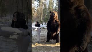 Мишка в тренде 