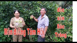 mận đường Tám Hội