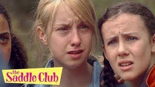 The Saddle Club - 4 Episodes! | Full episodes 5 to 8 | Saddle Club Season 2