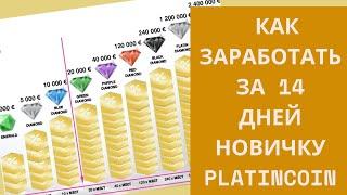 Платинкоин что это. Как заработать за 14 дней новичку Platincoin.