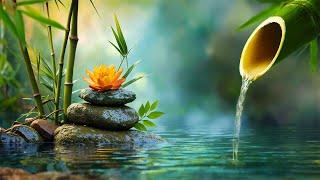 Relaxing Music for Stress Relief  Stop Anxiety, Depression • Mind, Body & Soul Healing