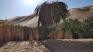 The Oasis of Lake Gaberoun | Southwest Libya, Fezzan Region 90 Kilometers to the west of Sabha City