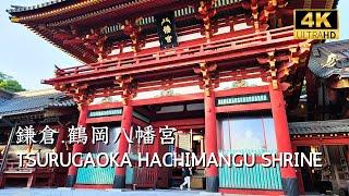 [ KAMAKURA ] Tsurugaoka Hachimangu Shrine |  #kamakura #enoshima #enoden #shonan #鎌倉 #鶴岡八幡宮