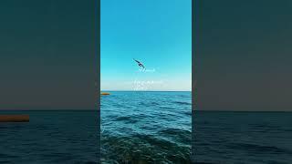 Принять #canva_на_смартфоне