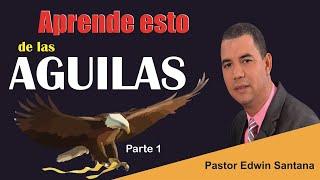 Viviendo como las águilas con el pastor Edwin santana