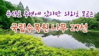 한국의 나무 - 5월 포천 국립수목원의 나무 27종류 해설