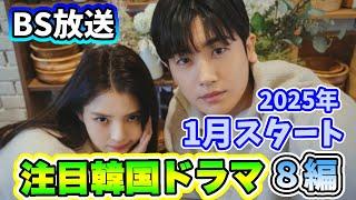 2025年1月よりBSで放送予定の韓国ドラマ8編