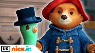 The Adventures of Paddington | Paddington And The Pigeon   | Nick Jr. UK