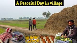 Village Life the Best Lifestyle | Villages of Punjab Pakistan