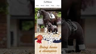 New Valegro LeMieux Toy Pony is out now! And dressage tack! #lemieux