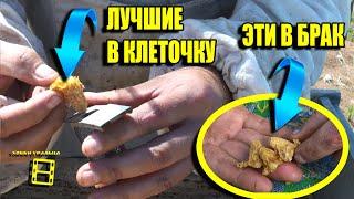 ОТВОДКИ ПЧЕЛ. МАТОЧНИКИ В КЛЕТОЧКИ - ПОРОЙКОВ НЕ БУДЕТ. ЛЮБИТЕЛЬСКОЕ ПЧЕЛОВОДСТВО ДЛЯ НАЧИНАЮЩИХ